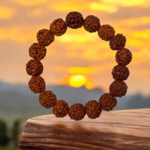 Rudraksha